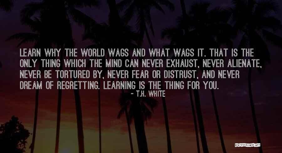 Estricto Sinonimo Quotes By T.H. White Estricto Sinonimo Quotes By T.H. White