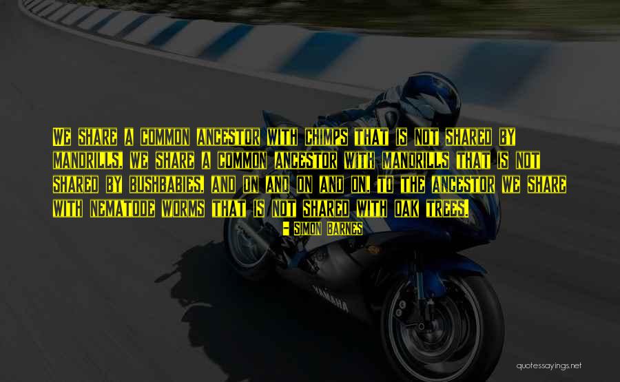 Estridente Definicion Quotes By Simon Barnes Estridente Definicion Quotes By Simon Barnes