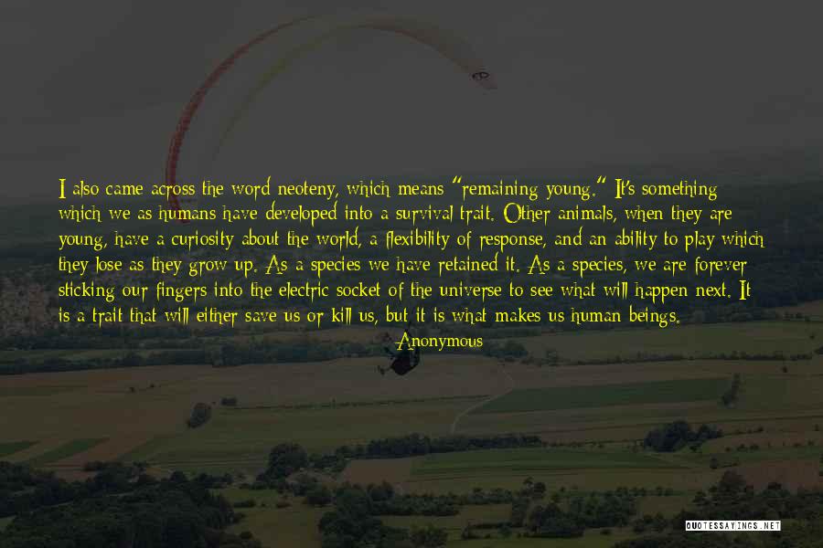Estridge Custom Quotes By Anonymous Estridge Custom Quotes By Anonymous