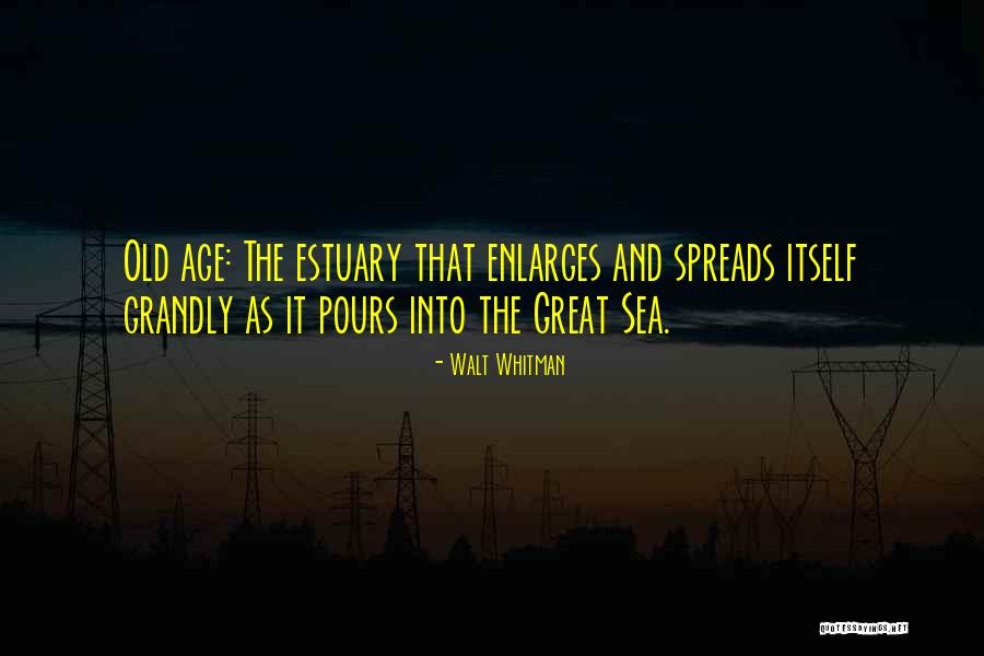 Estuary Quotes By Walt Whitman Estuary Quotes By Walt Whitman