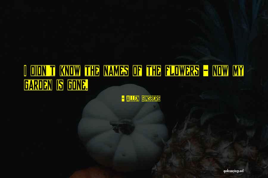 Estudiar Medicina Quotes By Allen Ginsberg Estudiar Medicina Quotes By Allen Ginsberg