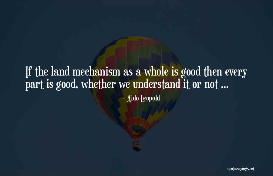 Estudiaron In English Quotes By Aldo Leopold Estudiaron In English Quotes By Aldo Leopold