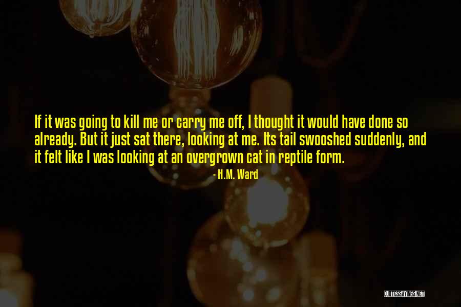 Esuriens Quotes By H.M. Ward Esuriens Quotes By H.M. Ward