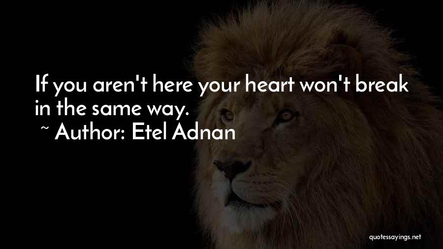Etel Adnan Quotes 527801
