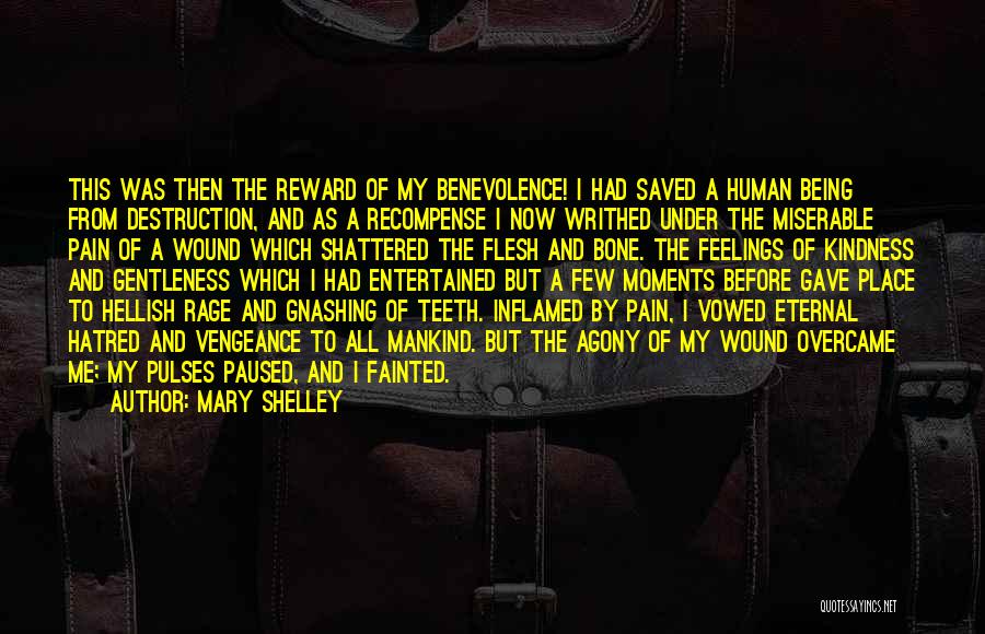 Eternal Pain Quotes By Mary Shelley