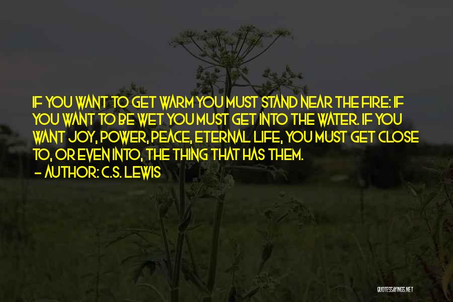 Eternal Peace Quotes By C.S. Lewis