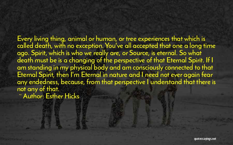 Eternal Perspective Quotes By Esther Hicks