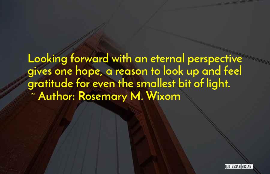 Eternal Perspective Quotes By Rosemary M. Wixom