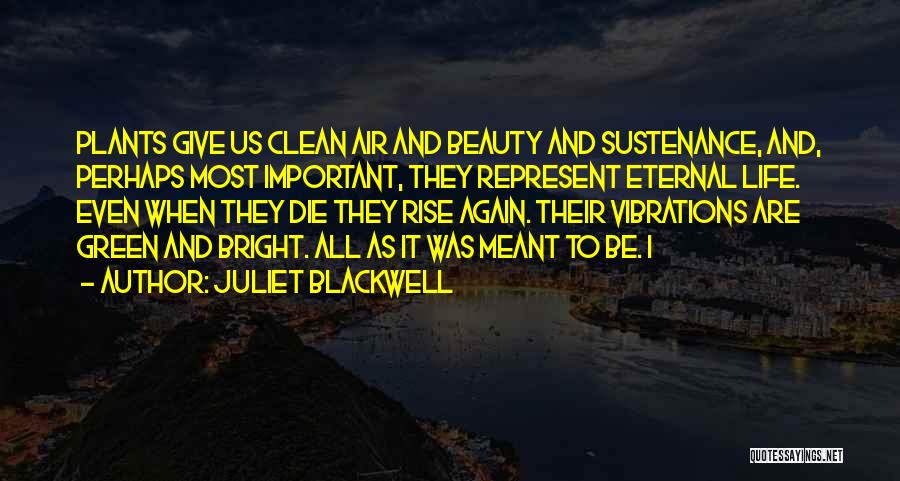 Eternal Quotes By Juliet Blackwell