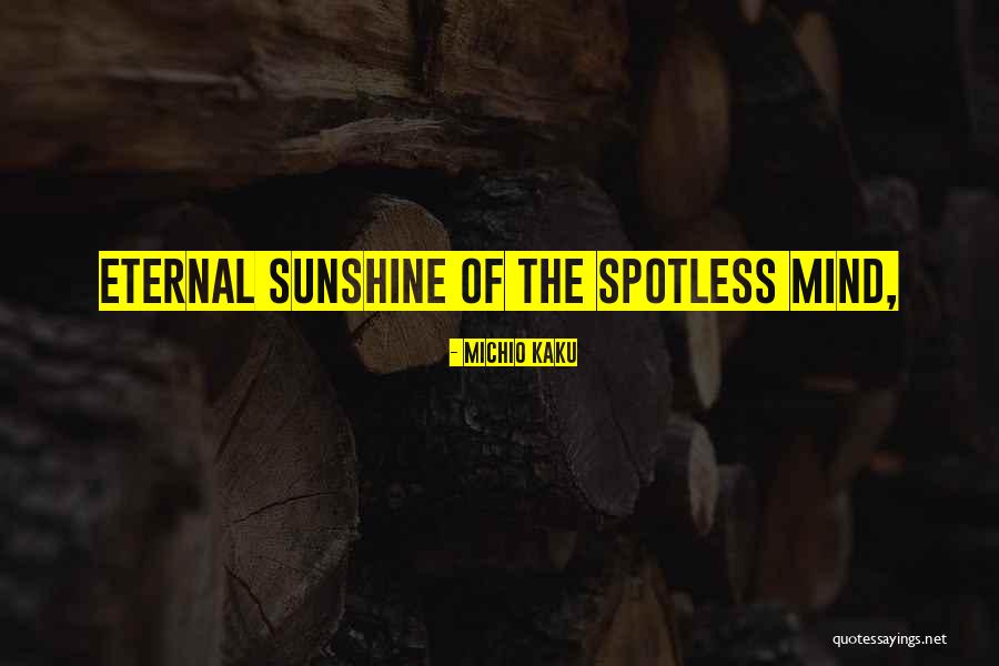 Eternal Sunshine Quotes By Michio Kaku