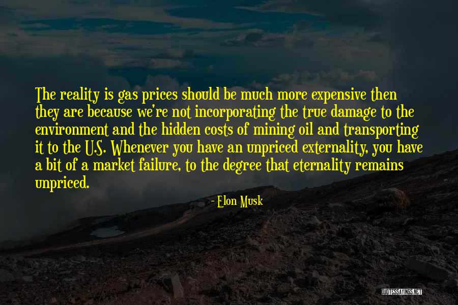 Eternality Quotes By Elon Musk Eternality Quotes By Elon Musk