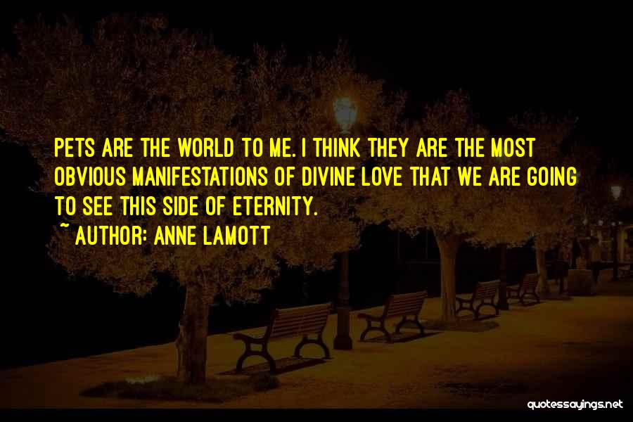 Eternity Love Quotes By Anne Lamott