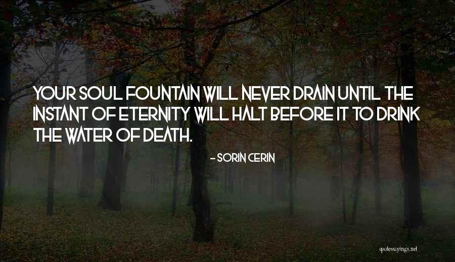Eternity Quote Quotes By Sorin Cerin Eternity Quote Quotes By Sorin Cerin