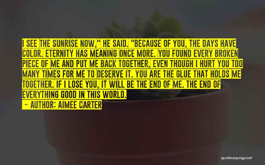 Eternity Together Quotes By Aimee Carter