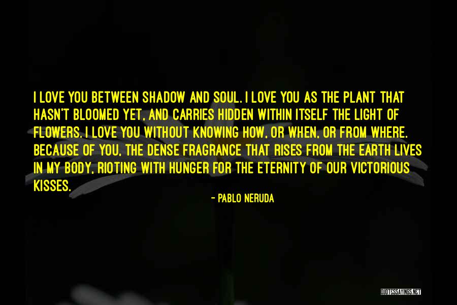 Eternity Without You Quotes By Pablo Neruda Eternity Without You Quotes By Pablo Neruda