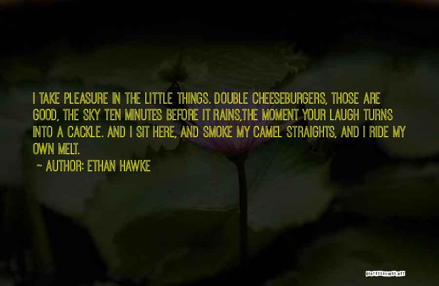 Ethan Hawke Quotes 2110516