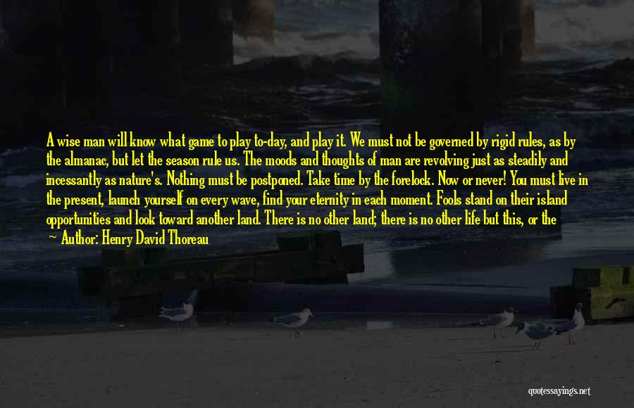 Ethans Hawks Quotes By Henry David Thoreau