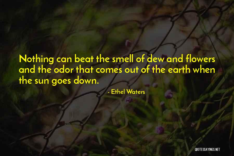 Ethel Waters Quotes 2253390