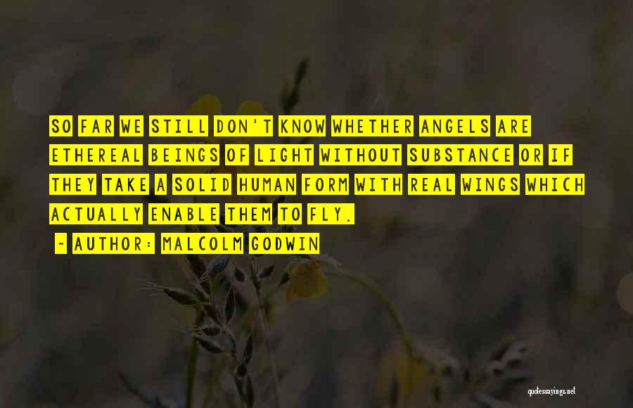 Ethereal Beings Quotes By Malcolm Godwin