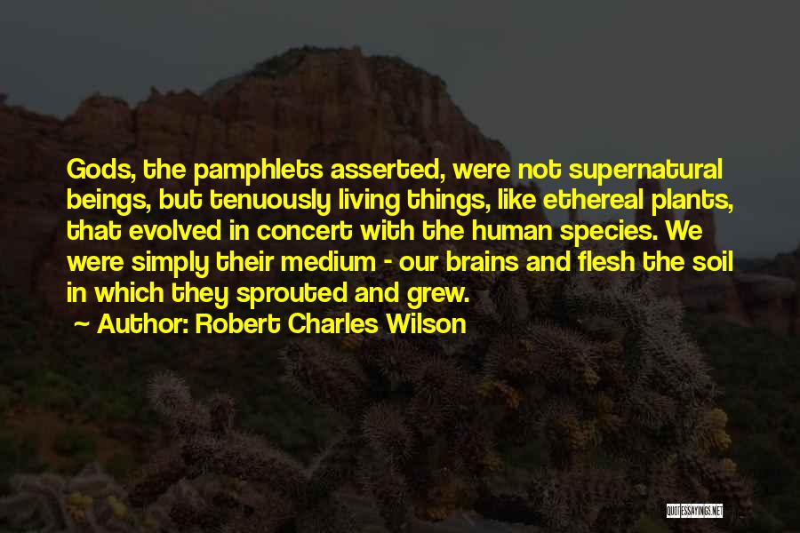 Ethereal Quotes By Robert Charles Wilson