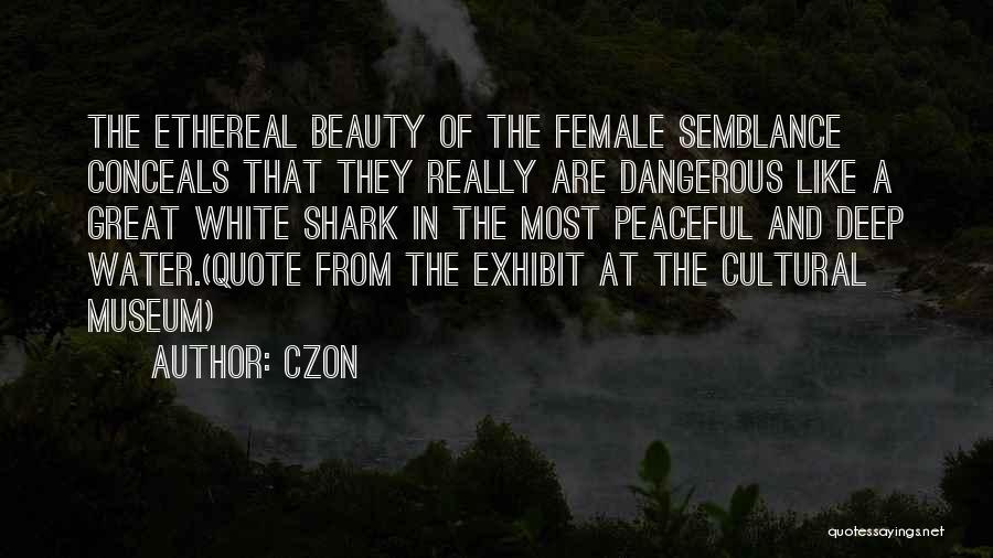 Ethereal Woman Quotes By Czon