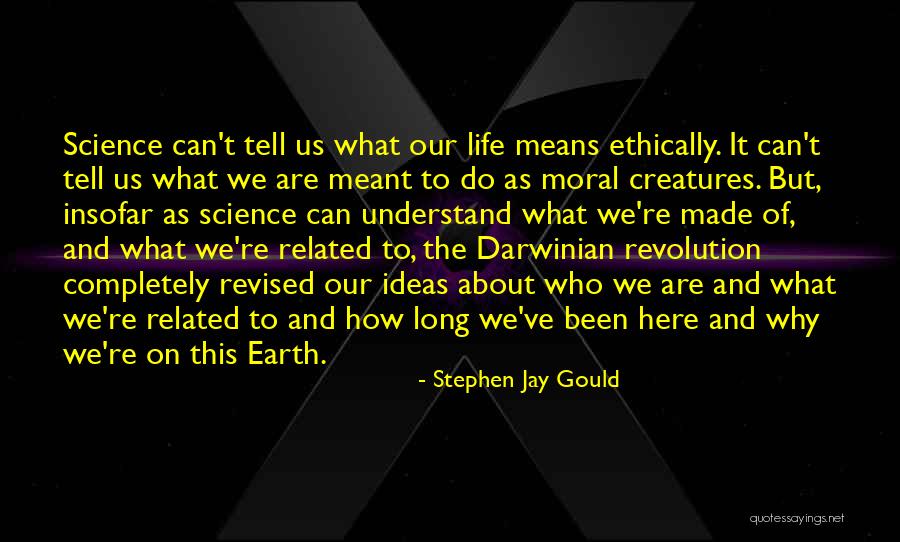 Ethically Quotes By Stephen Jay Gould Ethically Quotes By Stephen Jay Gould