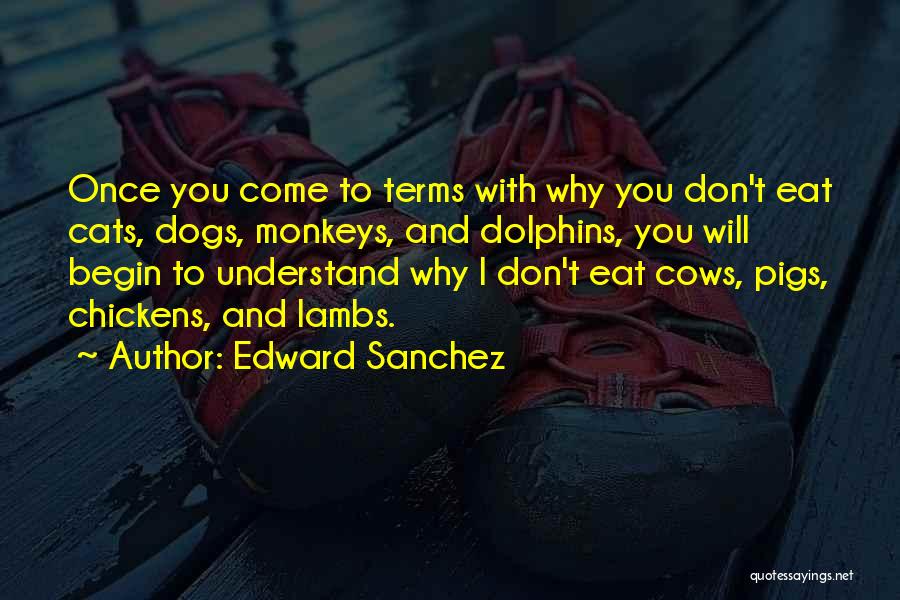 Ethics And Morals Quotes By Edward Sanchez