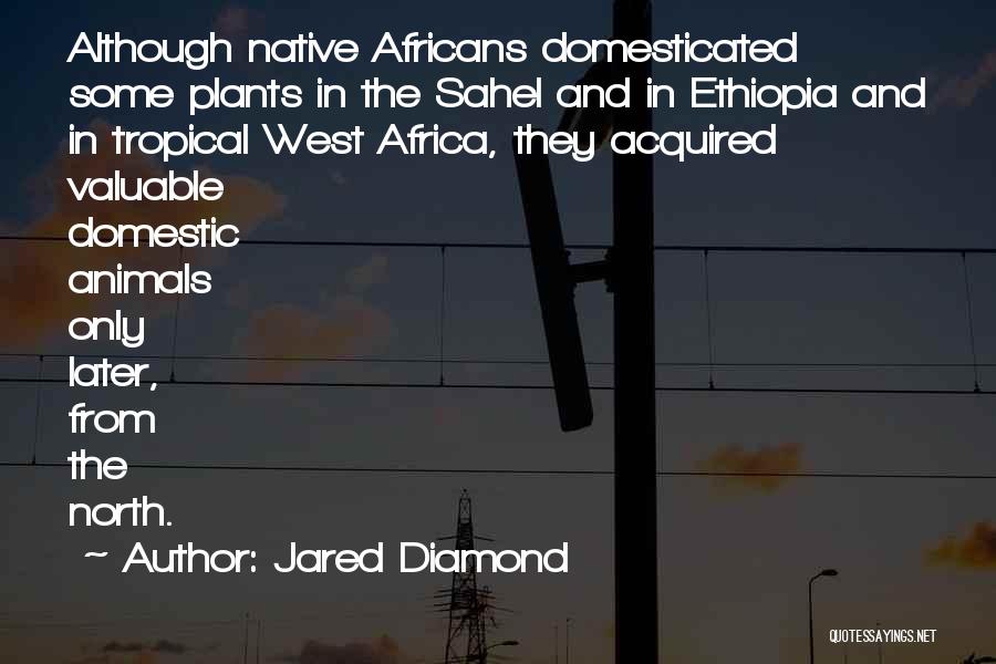 Ethiopia Quotes By Jared Diamond
