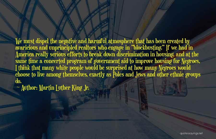 Ethnic Discrimination Quotes By Martin Luther King Jr.