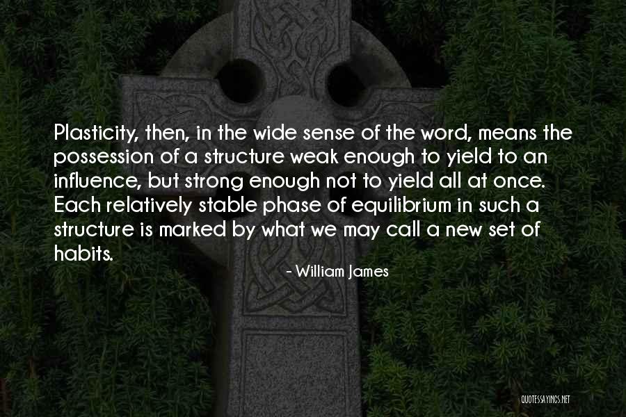 Ethnic Look Quotes By William James Ethnic Look Quotes By William James