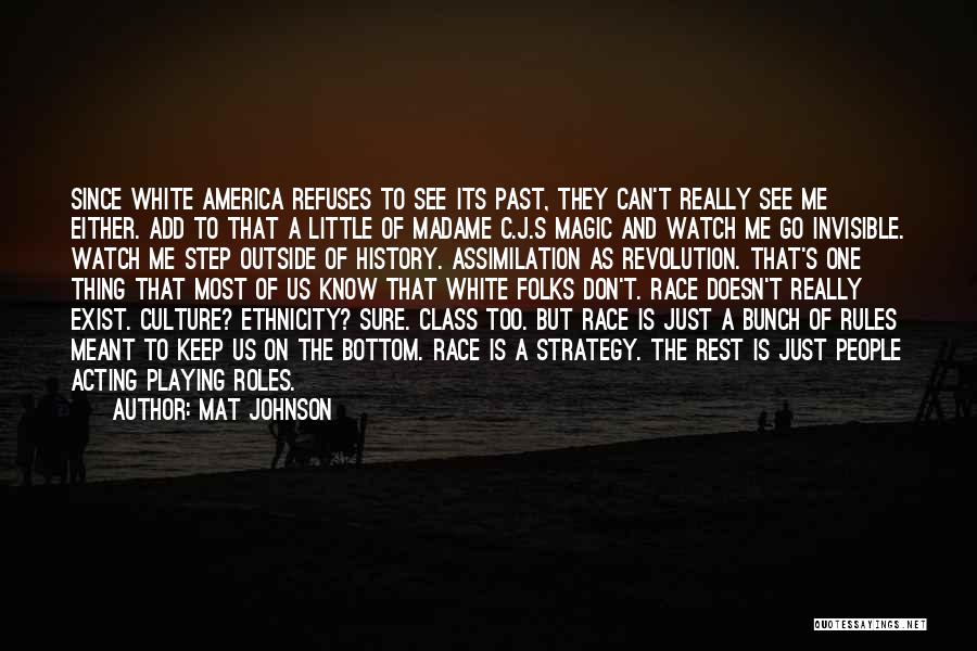Ethnicity And Culture Quotes By Mat Johnson
