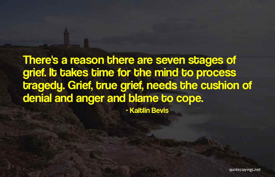 Ethnocide Define Quotes By Kaitlin Bevis Ethnocide Define Quotes By Kaitlin Bevis