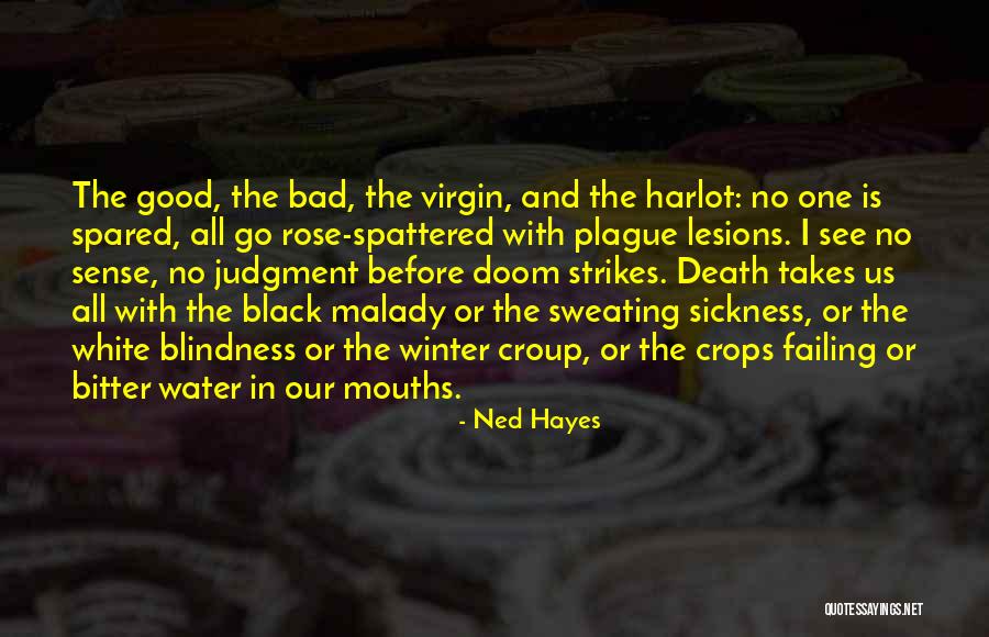 Ethnographic Sorcery Quotes By Ned Hayes Ethnographic Sorcery Quotes By Ned Hayes