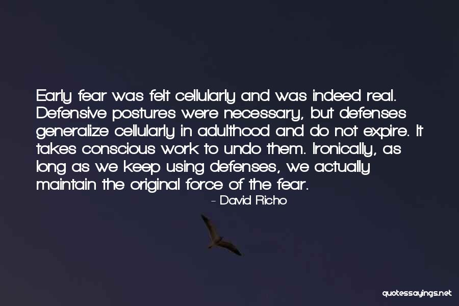 Ethnography Qualitative Research Quotes By David Richo Ethnography Qualitative Research Quotes By David Richo