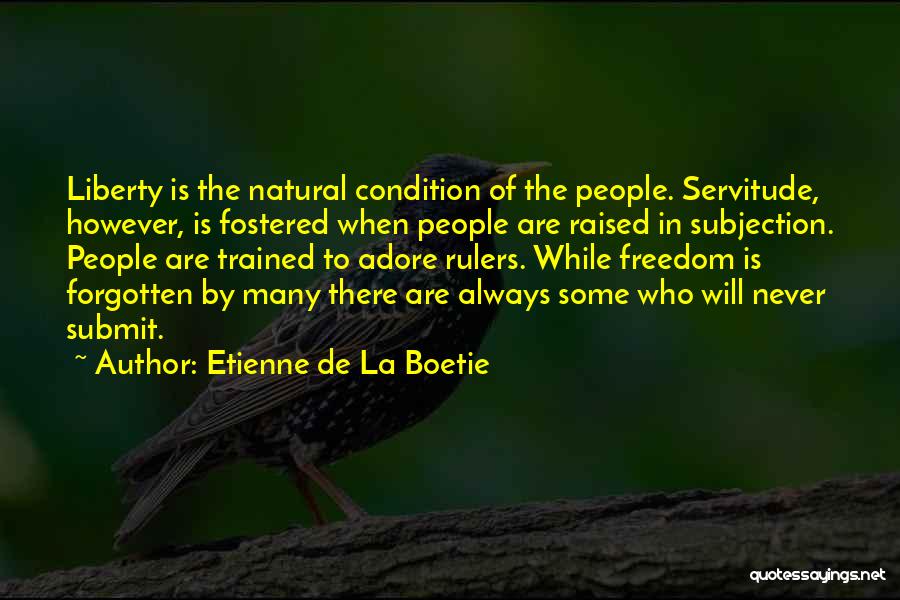 Etienne De Boetie Quotes By Etienne De La Boetie