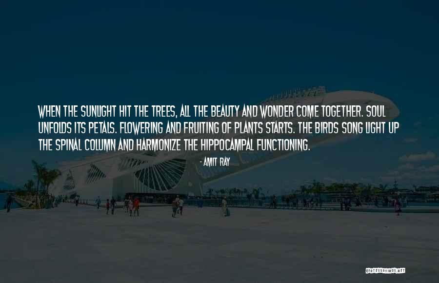 Etmed Quotes By Amit Ray Etmed Quotes By Amit Ray