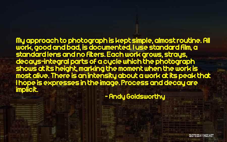 Etmed Quotes By Andy Goldsworthy Etmed Quotes By Andy Goldsworthy