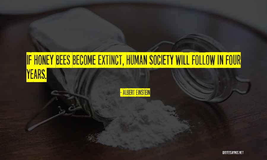 Etranger Camus Quotes By Albert Einstein Etranger Camus Quotes By Albert Einstein