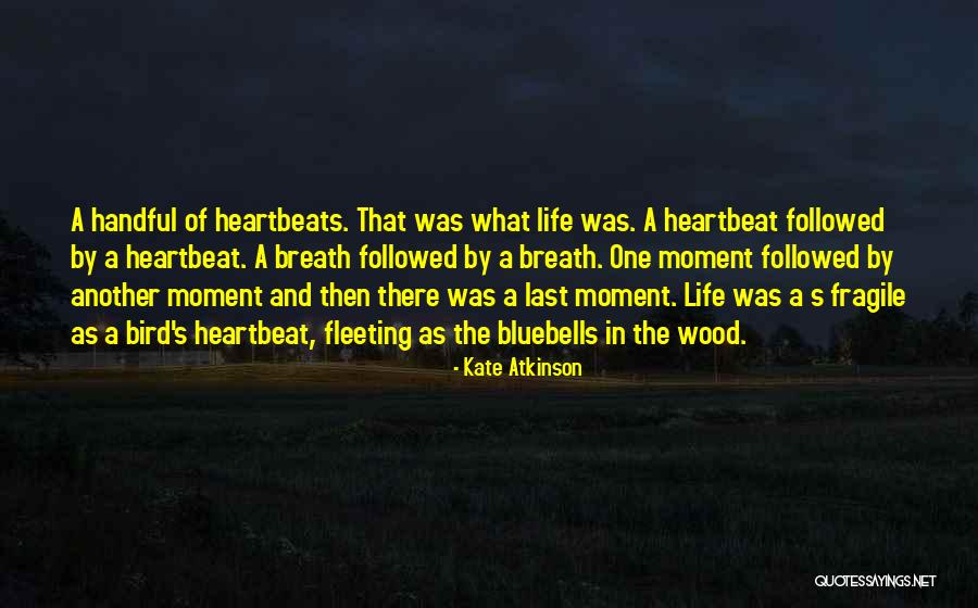 Etzel Engineering Quotes By Kate Atkinson Etzel Engineering Quotes By Kate Atkinson