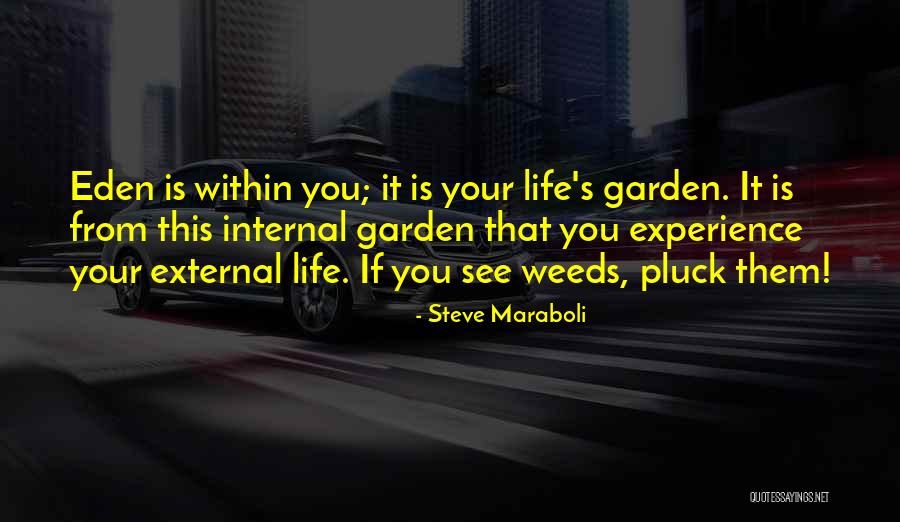 Etzioni Et Al Quotes By Steve Maraboli Etzioni Et Al Quotes By Steve Maraboli
