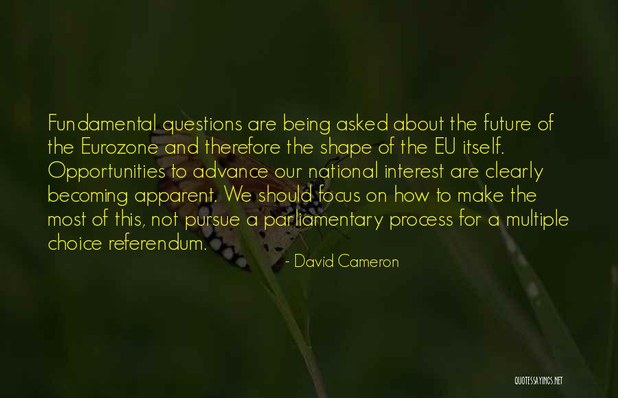 Eu Quotes By David Cameron