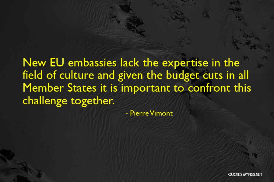 Eu Quotes By Pierre Vimont