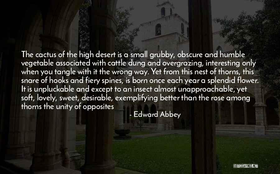 Eucarist A De Don Quotes By Edward Abbey Eucarist A De Don Quotes By Edward Abbey