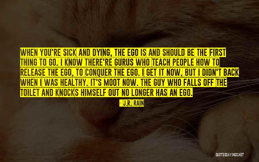 Eufemisme Betekenis Quotes By J.R. Rain Eufemisme Betekenis Quotes By J.R. Rain