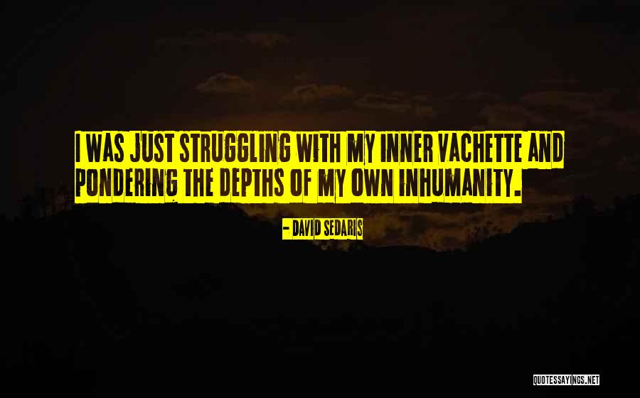 Euforia Definicion Quotes By David Sedaris Euforia Definicion Quotes By David Sedaris