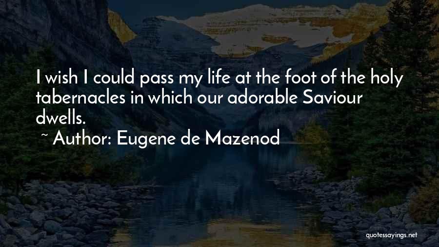 Eugene De Mazenod Quotes 118156