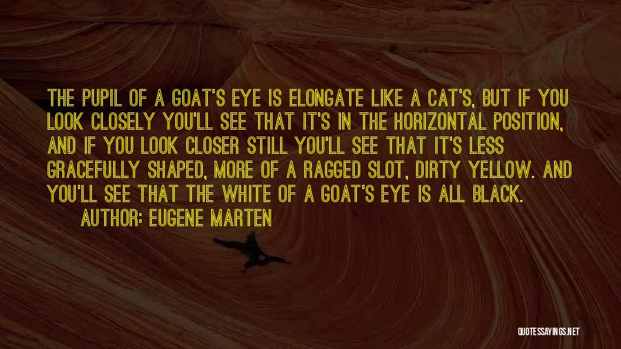 Eugene Marten Quotes 855297