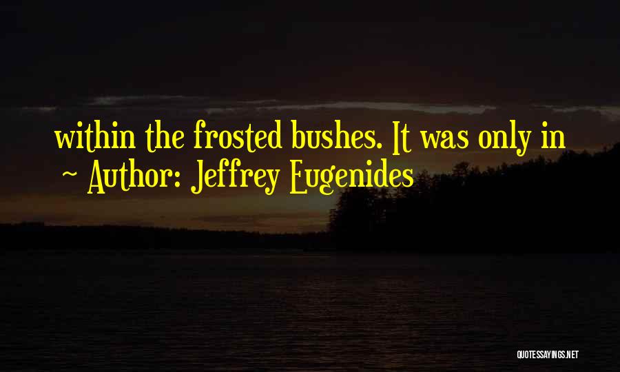 Eugenides Quotes By Jeffrey Eugenides