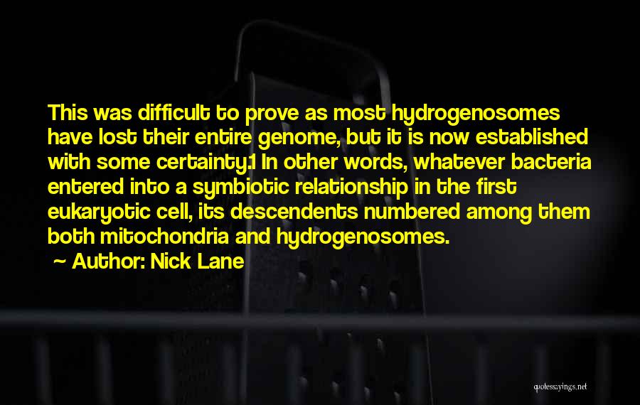 Eukaryotic Cell Quotes By Nick Lane