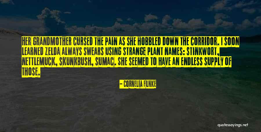 Eulogio Among Rodriguez Quotes By Cornelia Funke Eulogio Among Rodriguez Quotes By Cornelia Funke